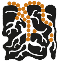 Molassis Index Macropore