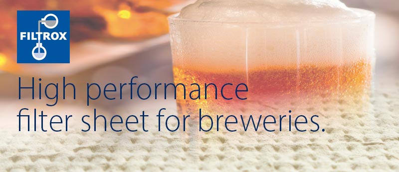 High performance filter sheet for beer filtration