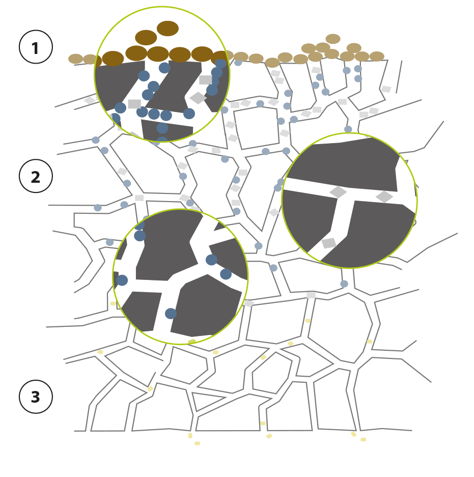 Illustration Struktur eines Carbon Pads