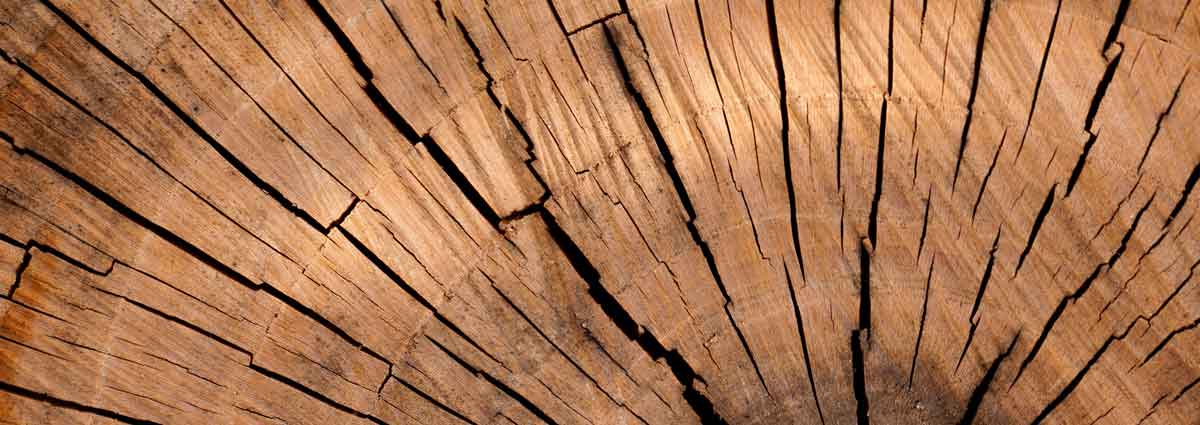 we use fsc certified cellulose sustainability at Filtrox, FSC certified cellulose