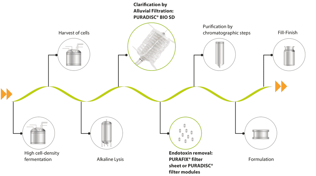 processo di purificazione e chiarificazione del DNA plasmidico