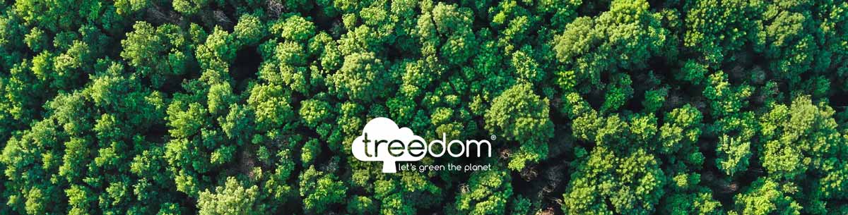 treedom project, plant trees