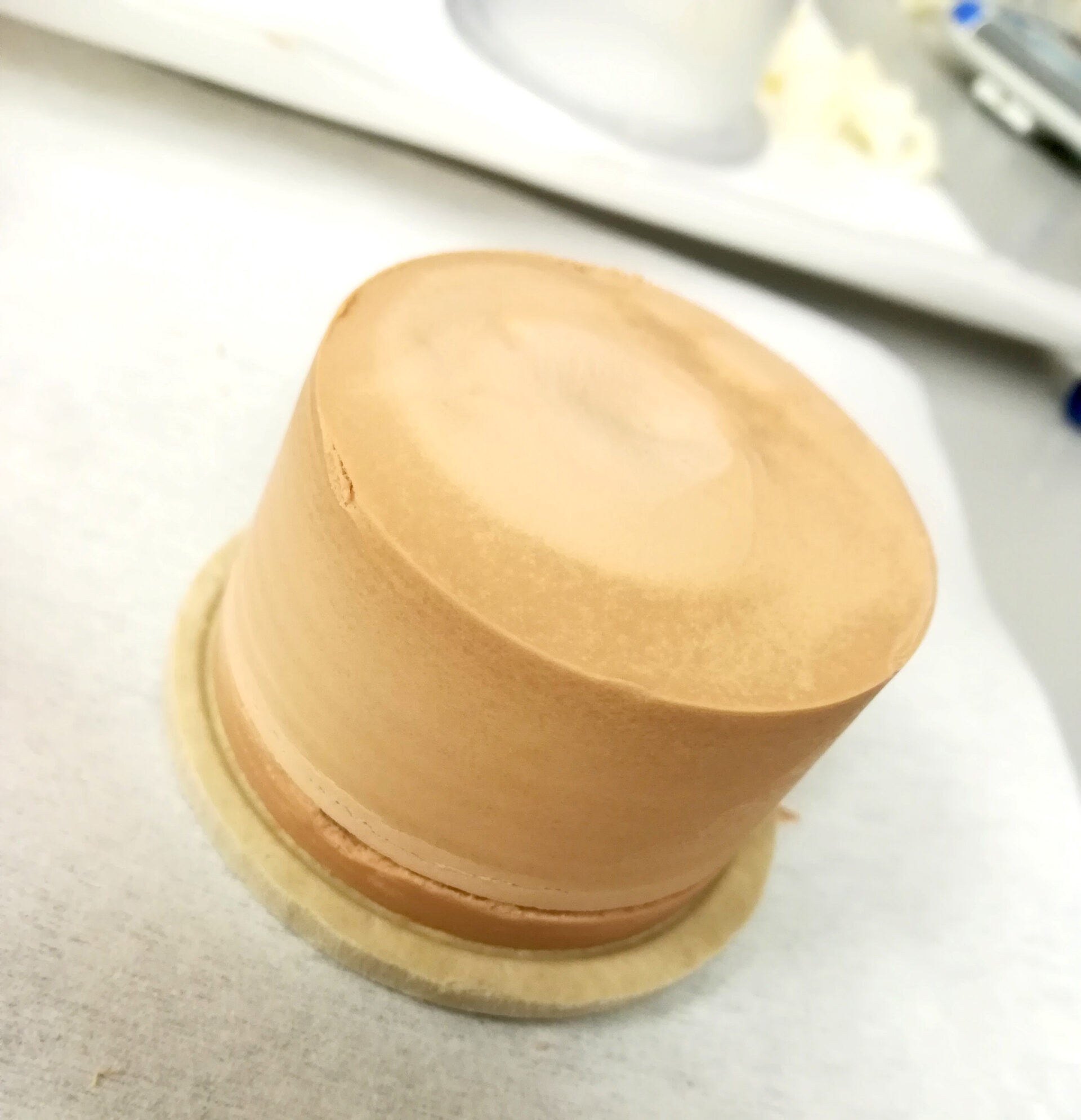 filter cake produced in a 2" capsule during filtration tests