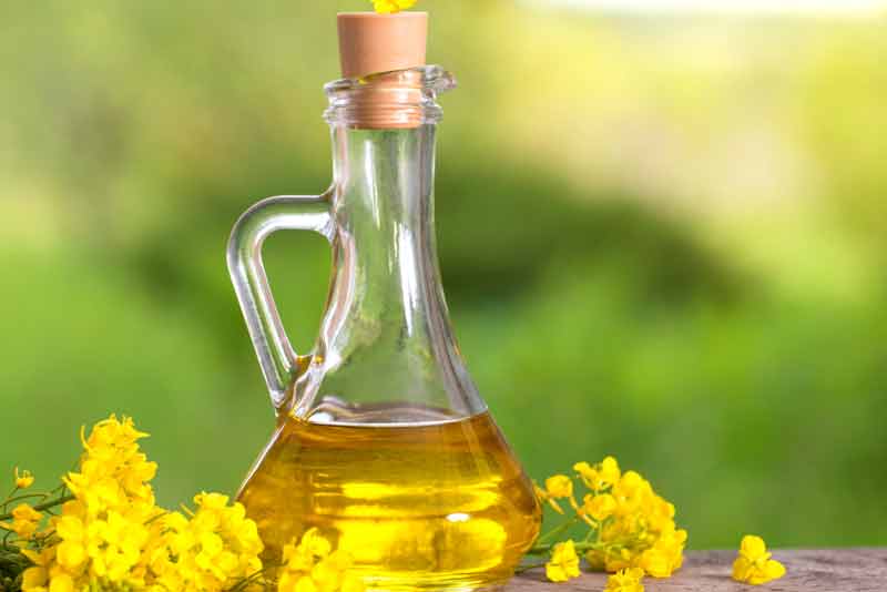 Aceite de canola para freír. Aceites para freír y sus características.