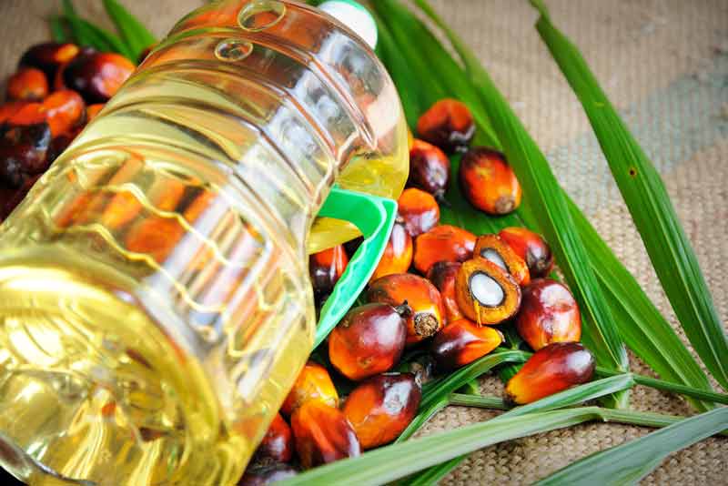 Palm oil for deep frying. frying oils characteristics.