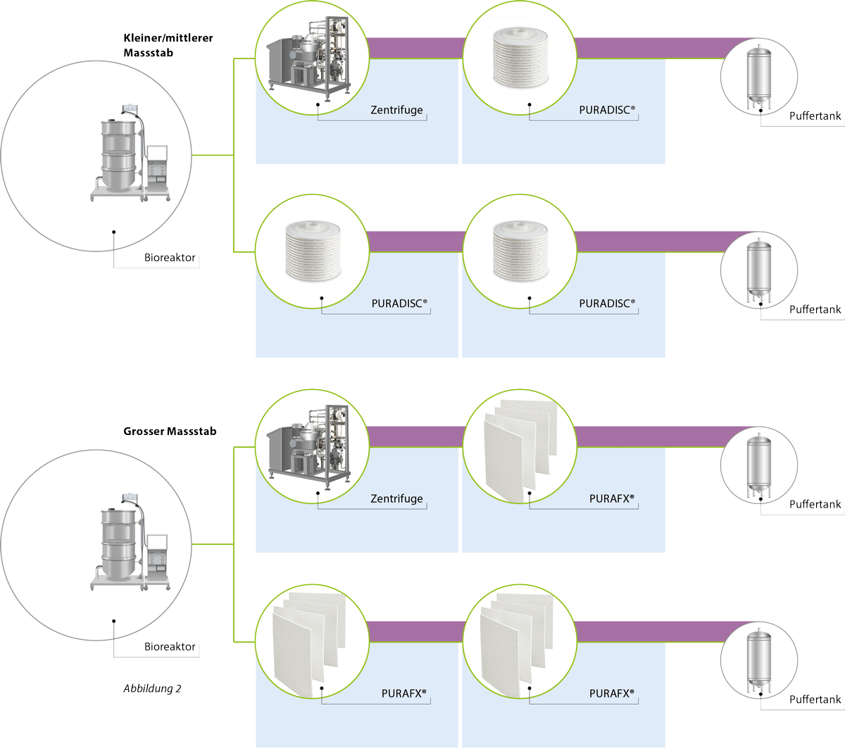 mAks und Säugetierzellen. Traditionelle Anwendung der Aufreinig für kleinere und mittlere Batches