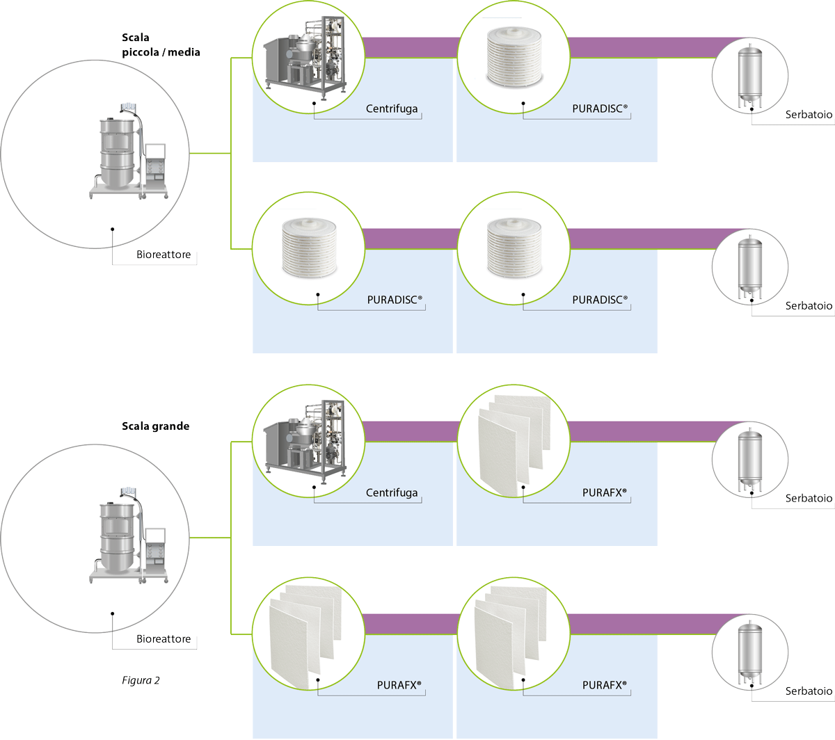 chiarificazione di mab e cellule di mammifero. approccio tradizionale di chiarificazione, piccola e media scala