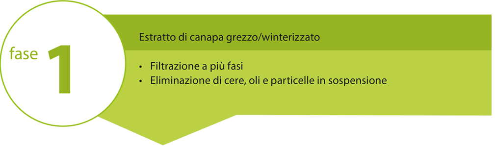 fase 1 della filtrazione dell'estratto di canapa. Estratto grezzo di canapa invernale. olio di cbd fase 1 della filtrazione dell'estratto di canapa. Estratto grezzo di canapa invernale. olio di CBD