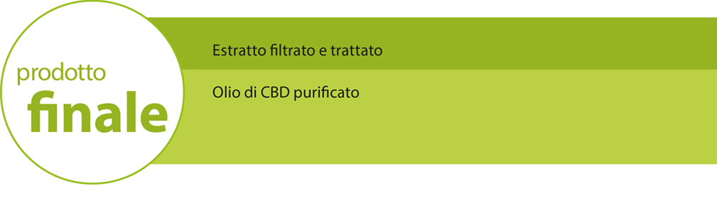 clear and filtered hemp oil, cbd-oil filtration prodotto finale. olio purificato