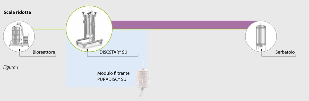 fasi di purificazione di mAb e cellule di mammifero con mezzi filtranti monouso fasi di purificazione di mAb e cellule di mammifero con mezzi filtranti monouso
