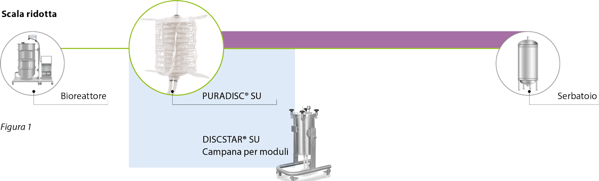 fasi di purificazione di mAb e cellule di mammifero con mezzi filtranti monouso