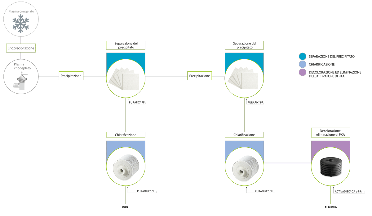 frazionamento del plasma
