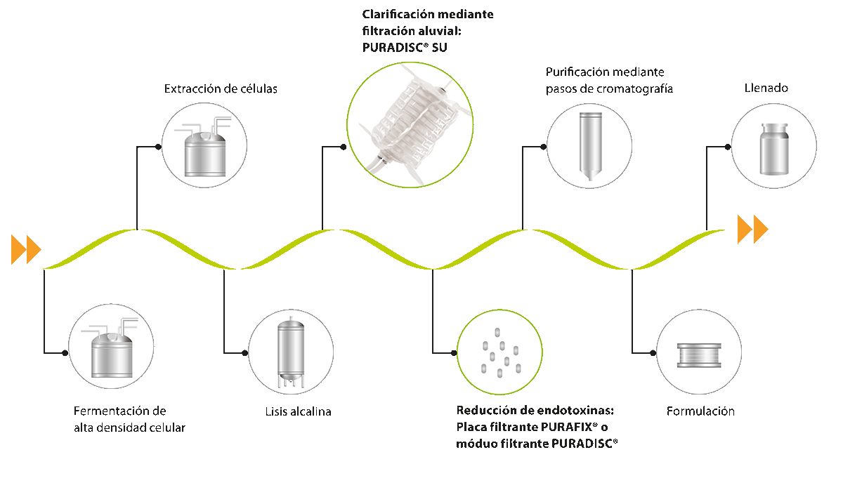 Clarificación de ADN plasmídico con medios filtrantes de un solo uso Proceso de fabricación de ADN plasmídico